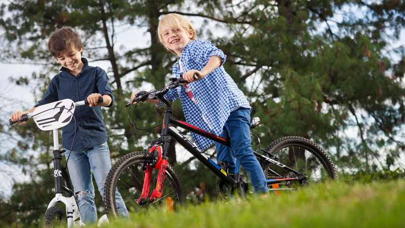 biciclette bambini dino bikes